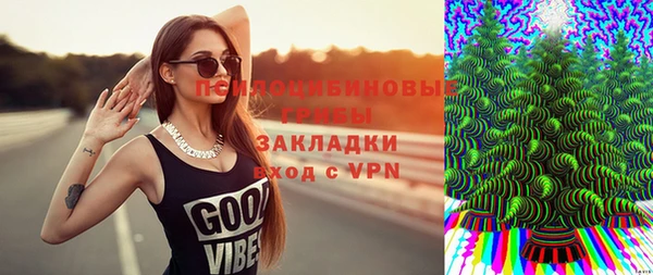 стафф Ростов
