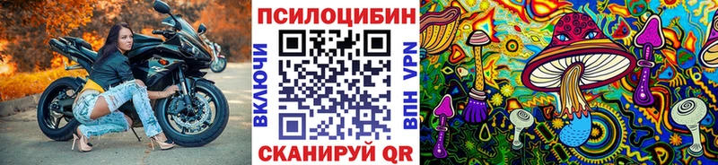 Галлюциногенные грибы MAGIC MUSHROOMS  Елизаветинская 